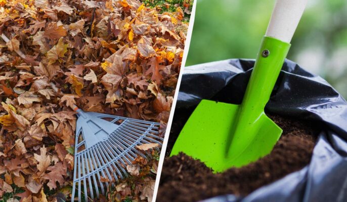 trašos iš nukritusių lapų