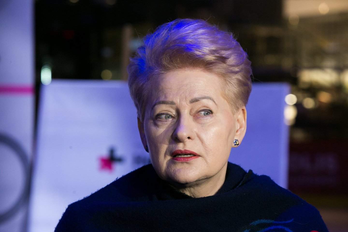 D. Grybauskaitė: Vakarų reakcija į Rusiją buvo pavėluota, taika Ukrainoje – tolima perspektyva