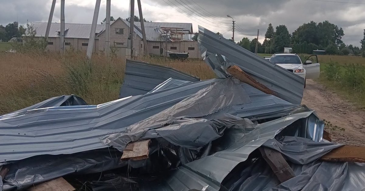 Audra smogė Varėnai: ant kelių nuvirto bent 70 medžių