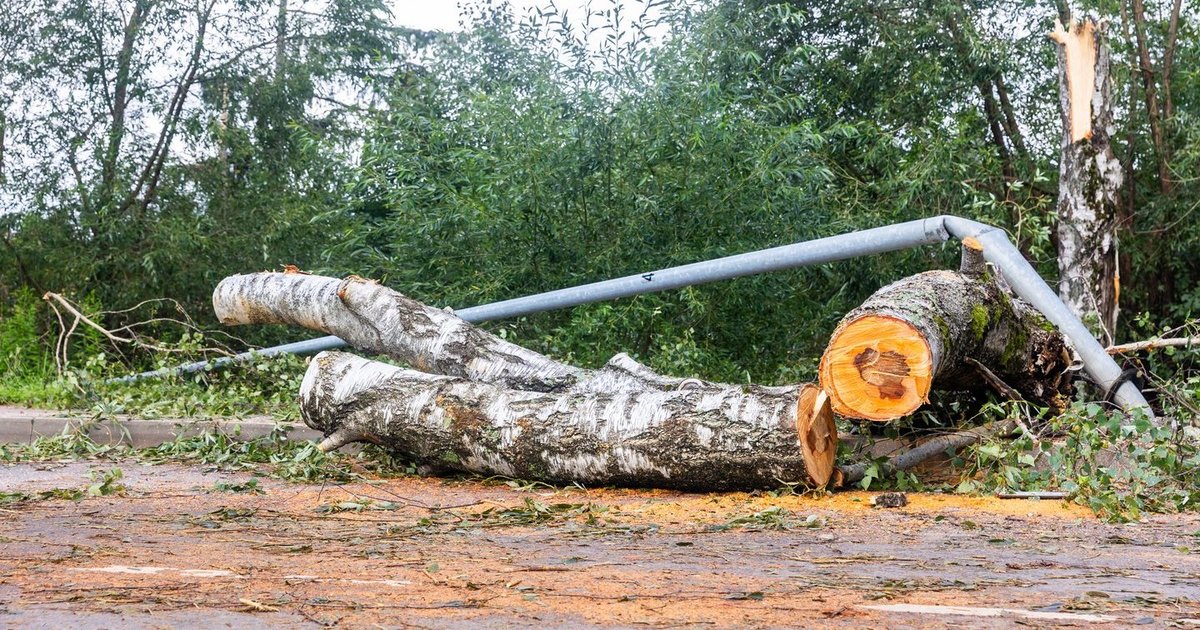 Smogus audrai – rekordinis savaitgalis tarnyboms: užpylė tūkstančiai skambučių