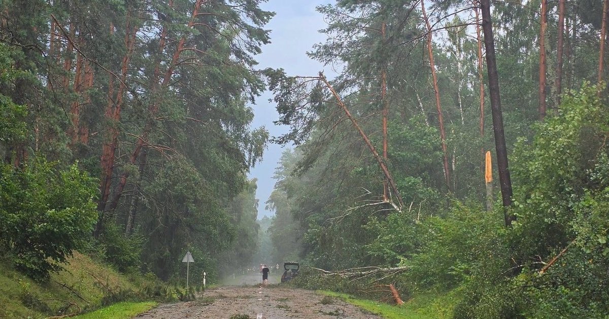 Skelbia vaizdus: škvalas šluoja medžius, užversti keliai – įspėja, kas laukia toliau