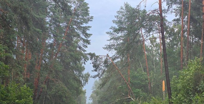 Neįtikėtinas kadras: tai, ką pavyko užfiksuoti audros metu, atima žadą